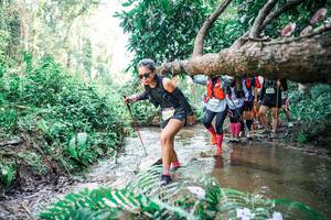 BIB: 
                            <button type="button" onclick="openModal(25475923)" class="btn btn-primary btn-sm float-right btn-popup" data-toggle="modal" data-target=".modal-high-quality">
                        <i class="fas fa-shopping-cart"></i> Add to Cart
                    </button>
                                            <button type="button" onclick="isThisMe(25475923, true)" class="btn btn-success btn-sm float-right btn-popup btn-isme hidden" data-toggle="tooltip" data-placement="bottom" title="นี่คือรูปของคุณใช่ไหม คลิกที่นี่เพื่อเอาเข้าอัลบั้ม">
                        <i class="fas fa-plus"></i> Add to album
                    </button>
                    <button type="button" onclick="isThisMe(25475923, false)" class="btn btn-warning btn-sm float-right btn-popup btn-isnotme hidden">
                        <i class="fas fa-ban"></i> Remove from album
                    </button>